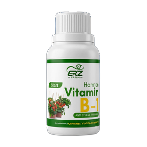 Vitamin B-1 Tanaman 100 ML